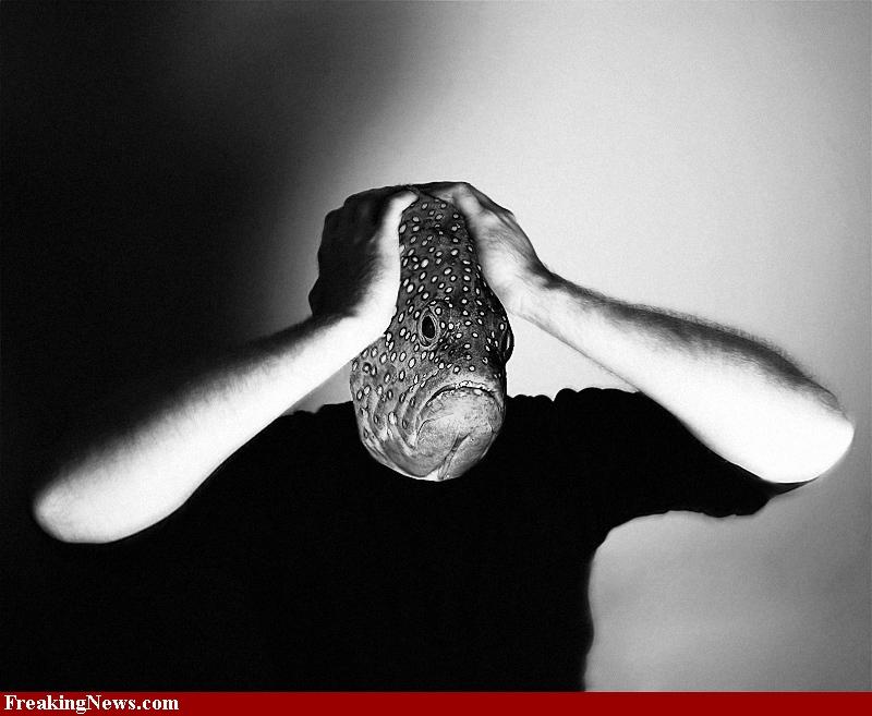 Crap de sete!!! :)  - human-fish-hybrid-30919.jpg